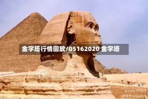 金字塔行情回放/05162020 金字塔