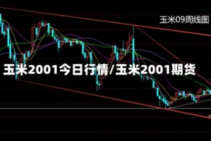 玉米2001今日行情/玉米2001期货