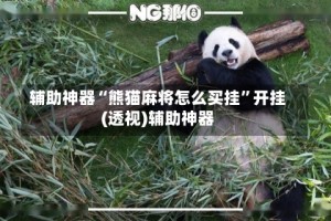 辅助神器“熊猫麻将怎么买挂”开挂(透视)辅助神器