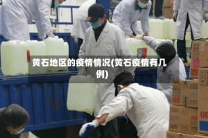 黄石地区的疫情情况(黄石疫情有几例)