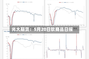 光大期货：5月20日软商品日报