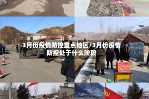 3月份疫情防控重点地区/3月份疫情防控处于什么阶段