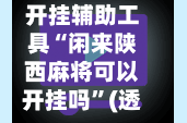 开挂辅助工具“闲来陕西麻将可以开挂吗”(透视)开挂辅助脚本+详细开挂安装教程