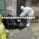 永外地区最新疫情(永外地区最新规划)