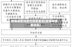 疫情地区回港流程图最新(疫情回香港流程)