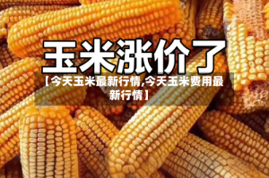 【今天玉米最新行情,今天玉米费用最新行情】