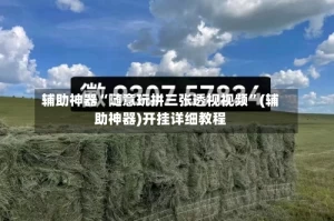 辅助神器“随意玩拼三张透视视频”(辅助神器)开挂详细教程