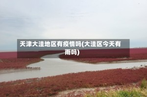 天津大洼地区有疫情吗(大洼区今天有雨吗)