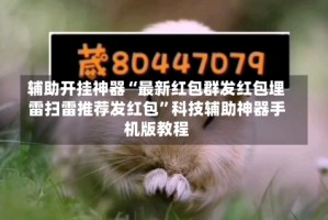 辅助开挂神器“最新红包群发红包埋雷扫雷推荐发红包”科技辅助神器手机版教程