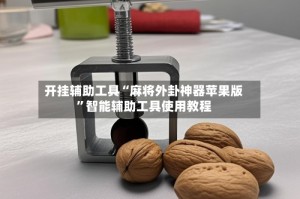 开挂辅助工具“麻将外卦神器苹果版”智能辅助工具使用教程