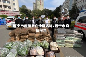 西宁市疫情所在地区名称/西宁市疫情报告