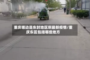 重庆哪边是东封地区啊最新疫情/重庆东区包括哪些地方