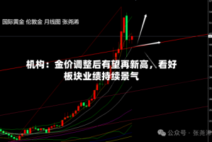 机构：金价调整后有望再新高，看好板块业绩持续景气