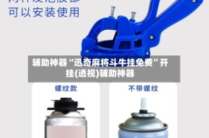 辅助神器“迅奇麻将斗牛挂免费”开挂(透视)辅助神器
