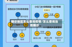 确诊地区怎么查询疫情/怎么查询当地确诊