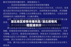 湖北地区疫情传播风险/湖北疫情风险区域划分