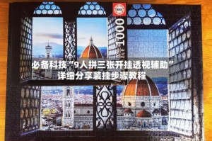 必备科技“9人拼三张开挂透视辅助”详细分享装挂步骤教程