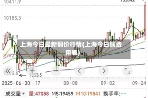 上海今日最新铜价行情(上海今日铜费用表)