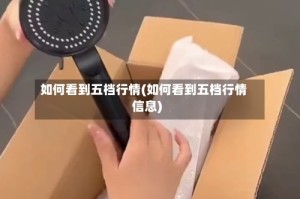 如何看到五档行情(如何看到五档行情信息)