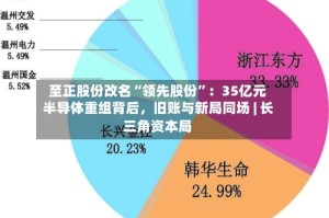 至正股份改名“领先股份”：35亿元半导体重组背后，旧账与新局同场 | 长三角资本局