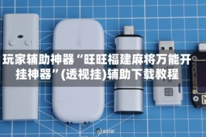 玩家辅助神器“旺旺福建麻将万能开挂神器”(透视挂)辅助下载教程