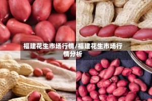 福建花生市场行情/福建花生市场行情分析