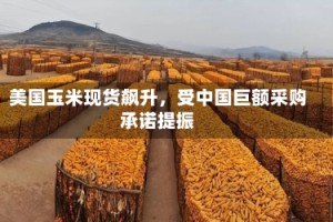 美国玉米现货飙升，受中国巨额采购承诺提振