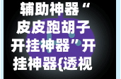 辅助神器“皮皮跑胡子开挂神器”开挂神器{透视辅助}全揭秘