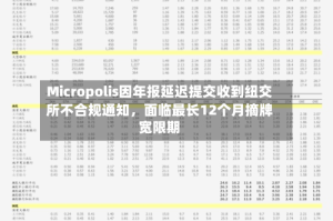 Micropolis因年报延迟提交收到纽交所不合规通知，面临最长12个月摘牌宽限期