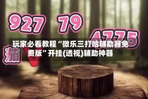 玩家必看教程“微乐三打哈辅助器免费版”开挂(透视)辅助神器