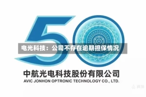 电光科技：公司不存在逾期担保情况
