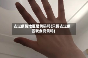 去过疫情地区是黄码吗(只要去过疫区就会变黄吗)