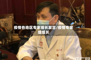 疫情各地区专家组长发言/疫情专家组组长