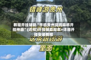 教程开挂辅助“手机贵州捉鸡麻将开挂神器”(透视)开挂辅助脚本+详细开挂安装教程