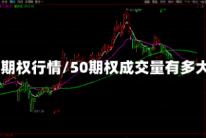 50期权行情/50期权成交量有多大