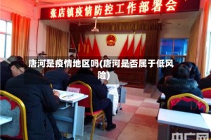唐河是疫情地区吗(唐河是否属于低风险)