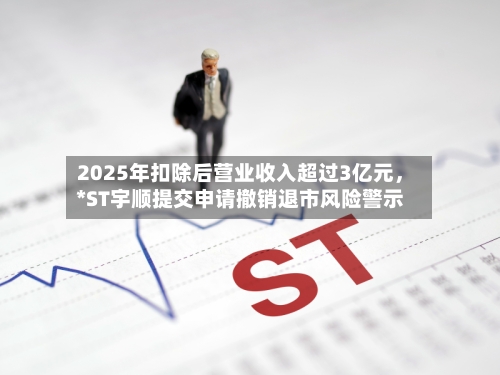 2025年扣除后营业收入超过3亿元	，*ST宇顺提交申请撤销退市风险警示-第1张图片