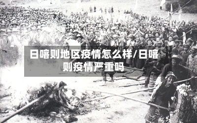 日喀则地区疫情怎么样/日喀则疫情严重吗-第1张图片