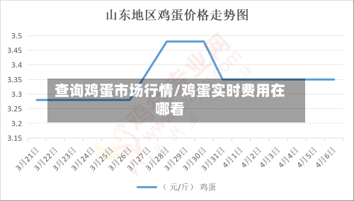 查询鸡蛋市场行情/鸡蛋实时费用在哪看-第1张图片