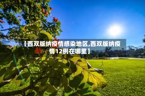 【西双版纳疫情感染地区,西双版纳疫情12例在哪里】-第1张图片