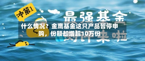 什么情况？金鹰基金这只产品暂停申购	，份额却增超10万份-第1张图片
