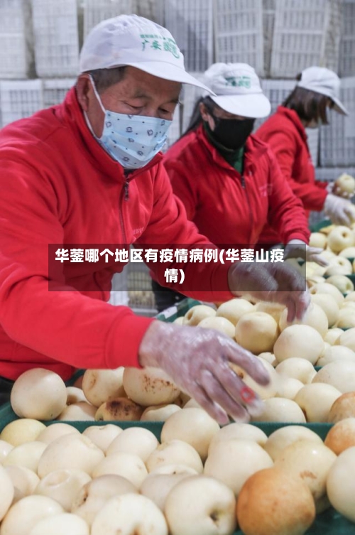 华蓥哪个地区有疫情病例(华蓥山疫情)-第1张图片