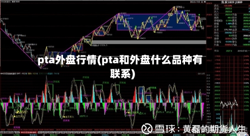 pta外盘行情(pta和外盘什么品种有联系)-第1张图片