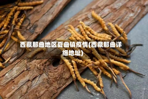 西藏那曲地区夏曲镇疫情(西藏那曲详细地址)-第1张图片