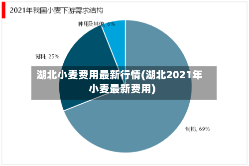 湖北小麦费用最新行情(湖北2021年小麦最新费用)-第1张图片