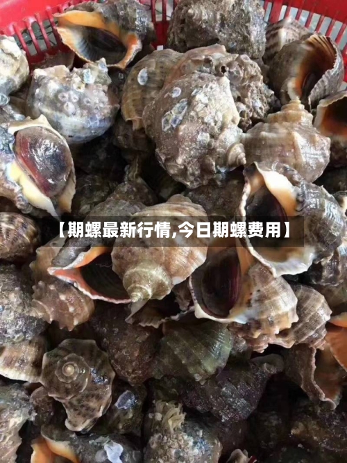 【期螺最新行情,今日期螺费用】-第1张图片