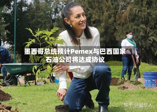 墨西哥总统预计Pemex与巴西国家石油公司将达成协议-第1张图片