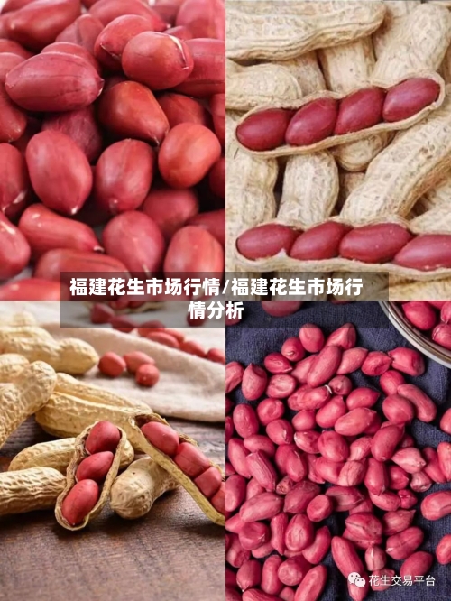 福建花生市场行情/福建花生市场行情分析-第1张图片