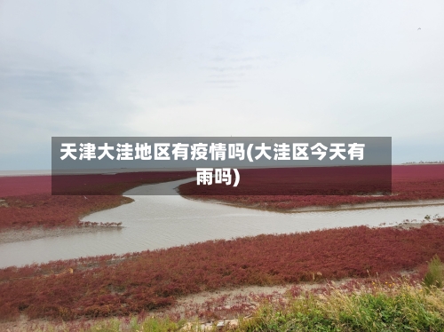 天津大洼地区有疫情吗(大洼区今天有雨吗)-第1张图片