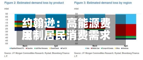 约翰逊：高能源费用压制居民消费需求-第1张图片